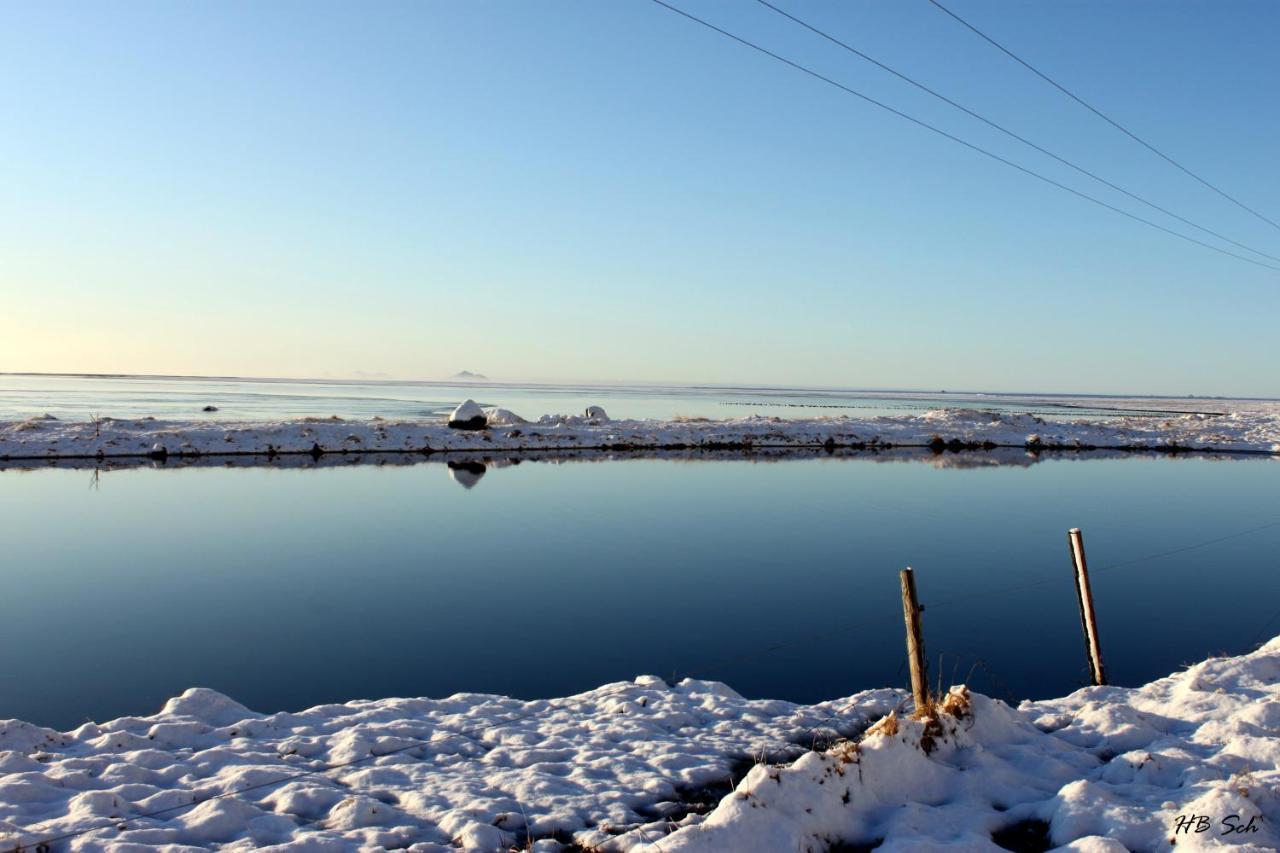 South Iceland Guesthouse Steinar Ngoại thất bức ảnh