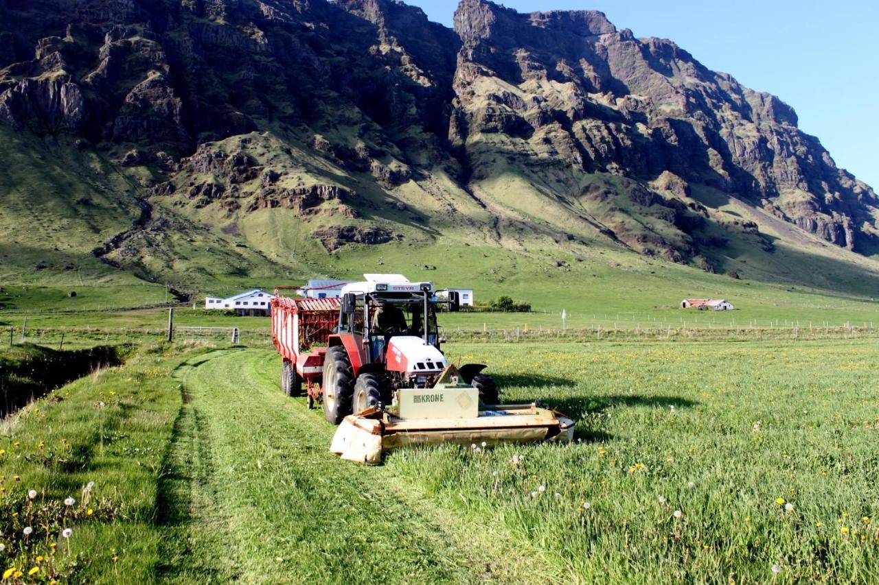 South Iceland Guesthouse Steinar Ngoại thất bức ảnh